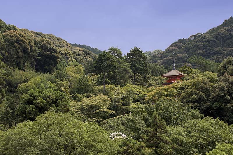 06 - Kiyomizu-Dera Temple 